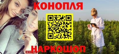 Альфа ПВП Донской