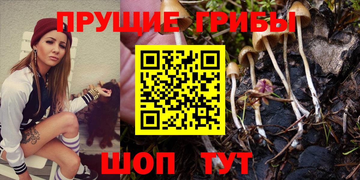 Псилоцибиновые грибы мухоморы Миасс